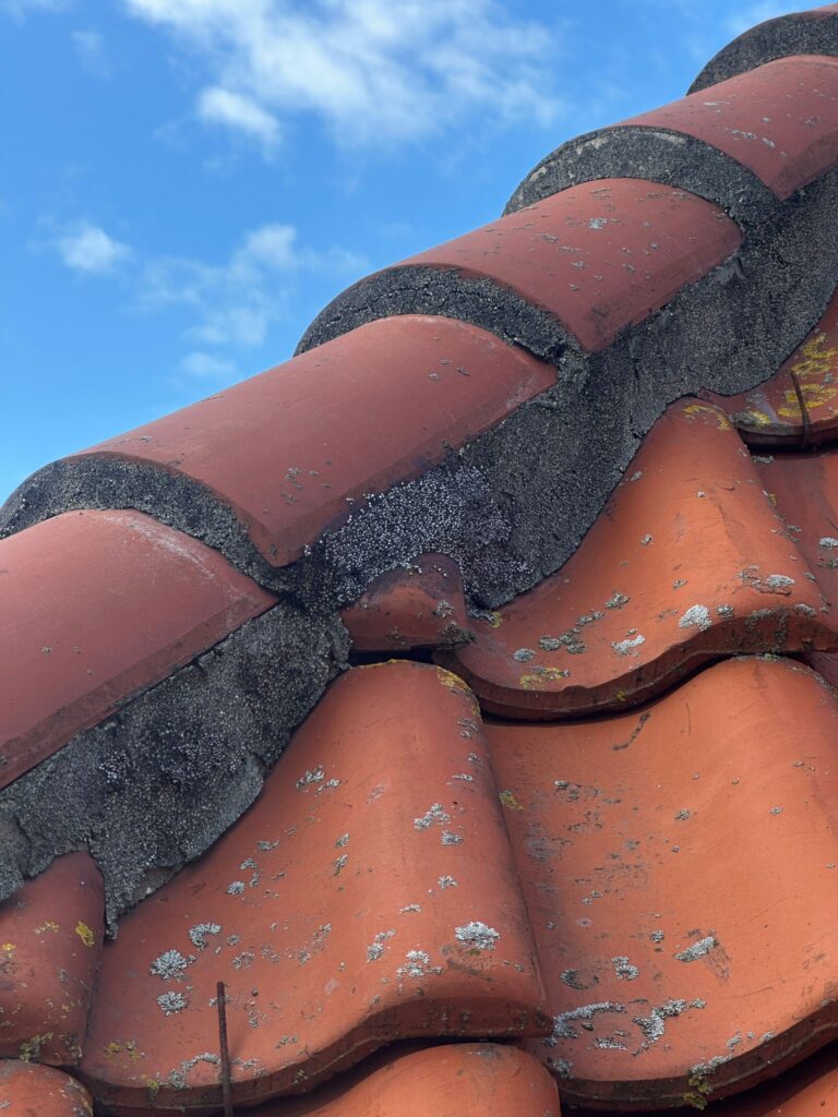 Nokvorst reparatie met Flexim in Assendelft (11)