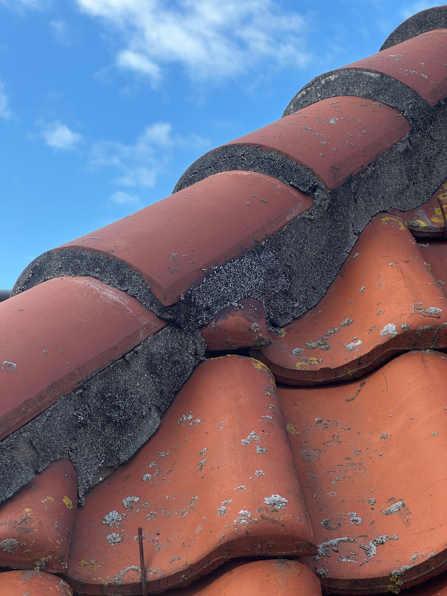 Nokvorst reparatie met Flexim in Assendelft (11)