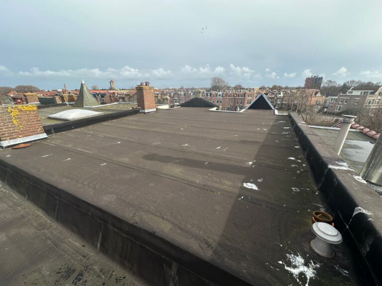 Plat dak met schoorstenen, uitzicht op stadsgebouw.