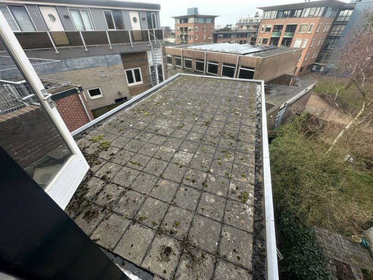 Uitzicht op dak en appartementencomplexen in Nederland.
