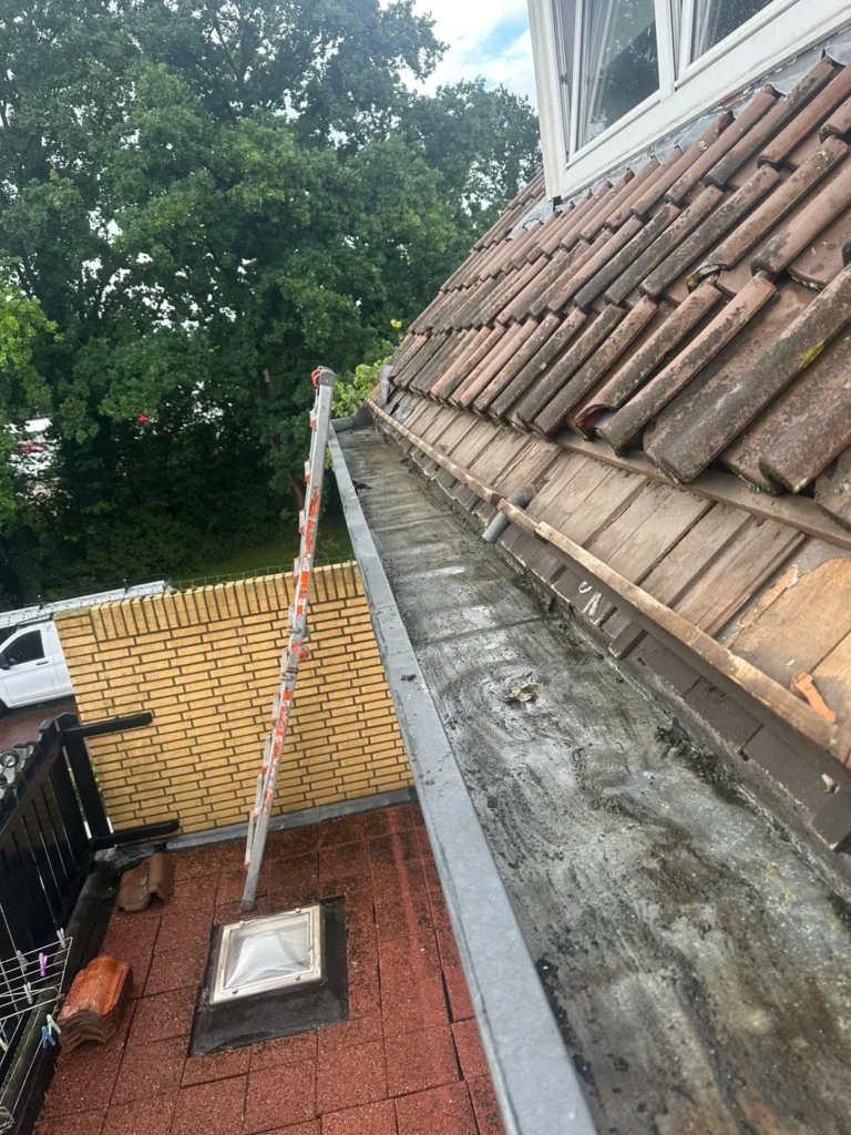 Vervuilde oude goot langs een pannendak met ladder ernaast in Westzaan