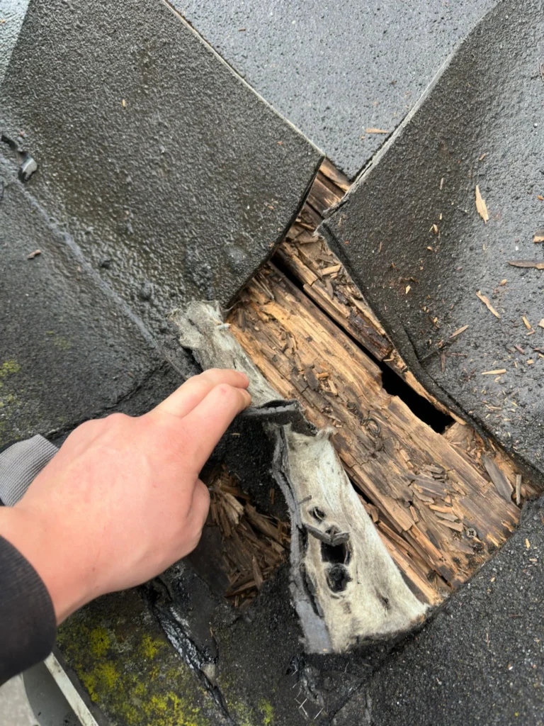 Hand trekt verrot hout weg onder de dakbedekking in Westzaan