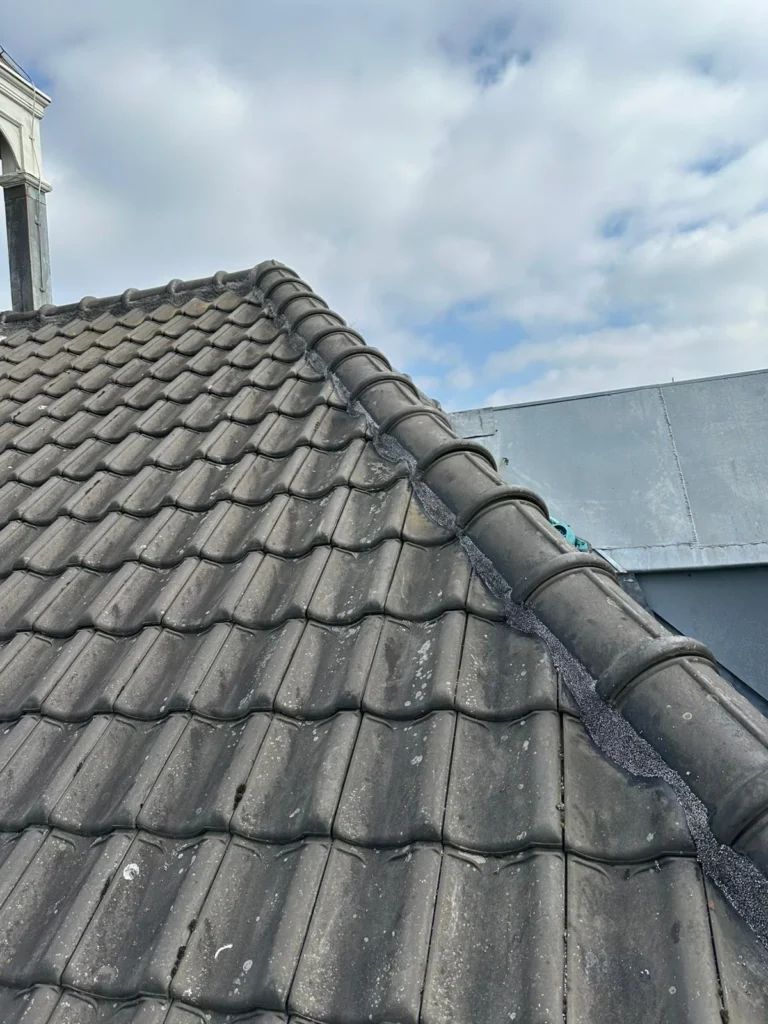 Nok van een zwart pannendak met donkere afwerking in Westzaan